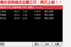 金钻原价2000【小楷超级竞价秘籍】竞价低吸+激进模式二合一 玩转竞价 指标源码 副图选股
